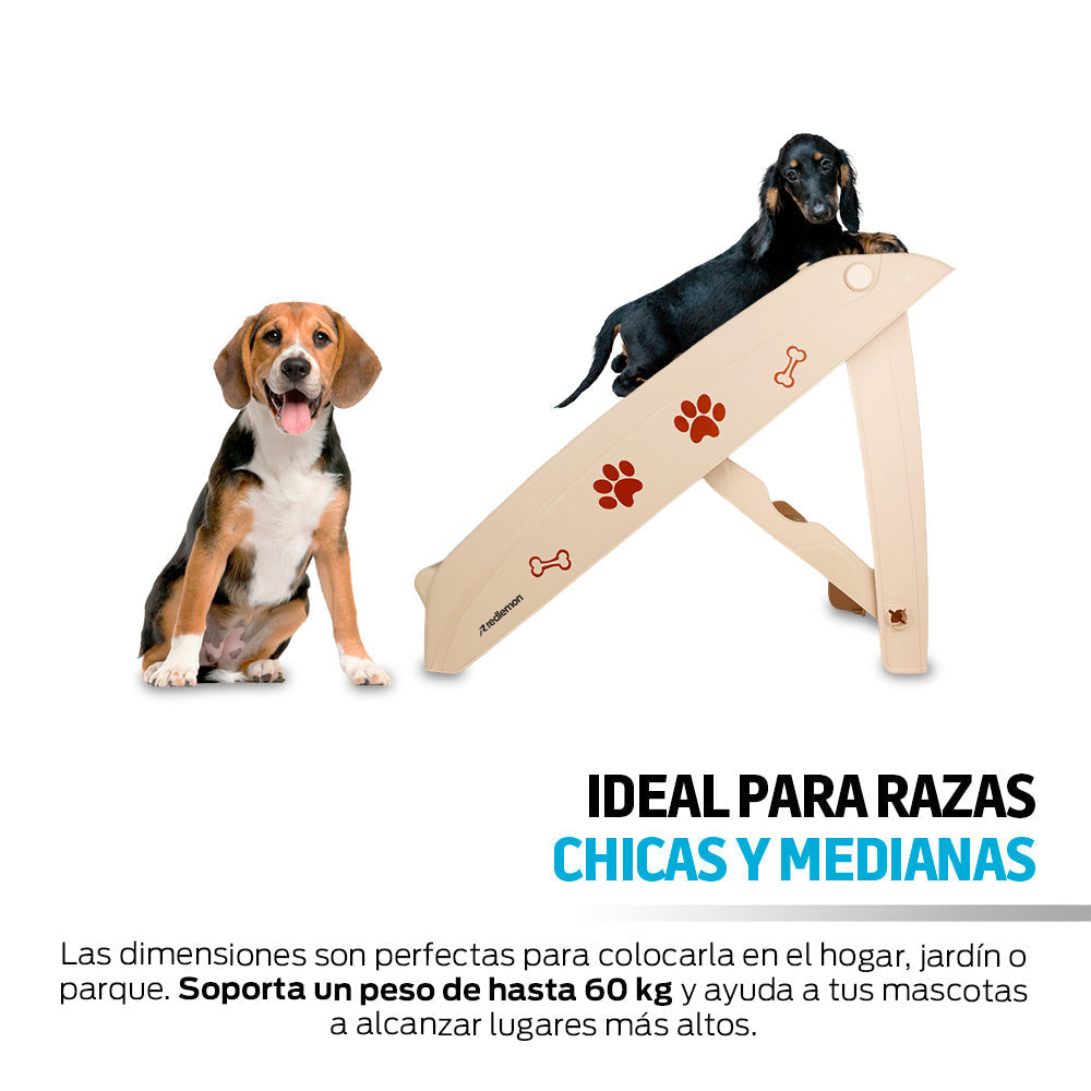 Escalera Plegable para Perro de 4 Peldaños, Soporta 60 kg