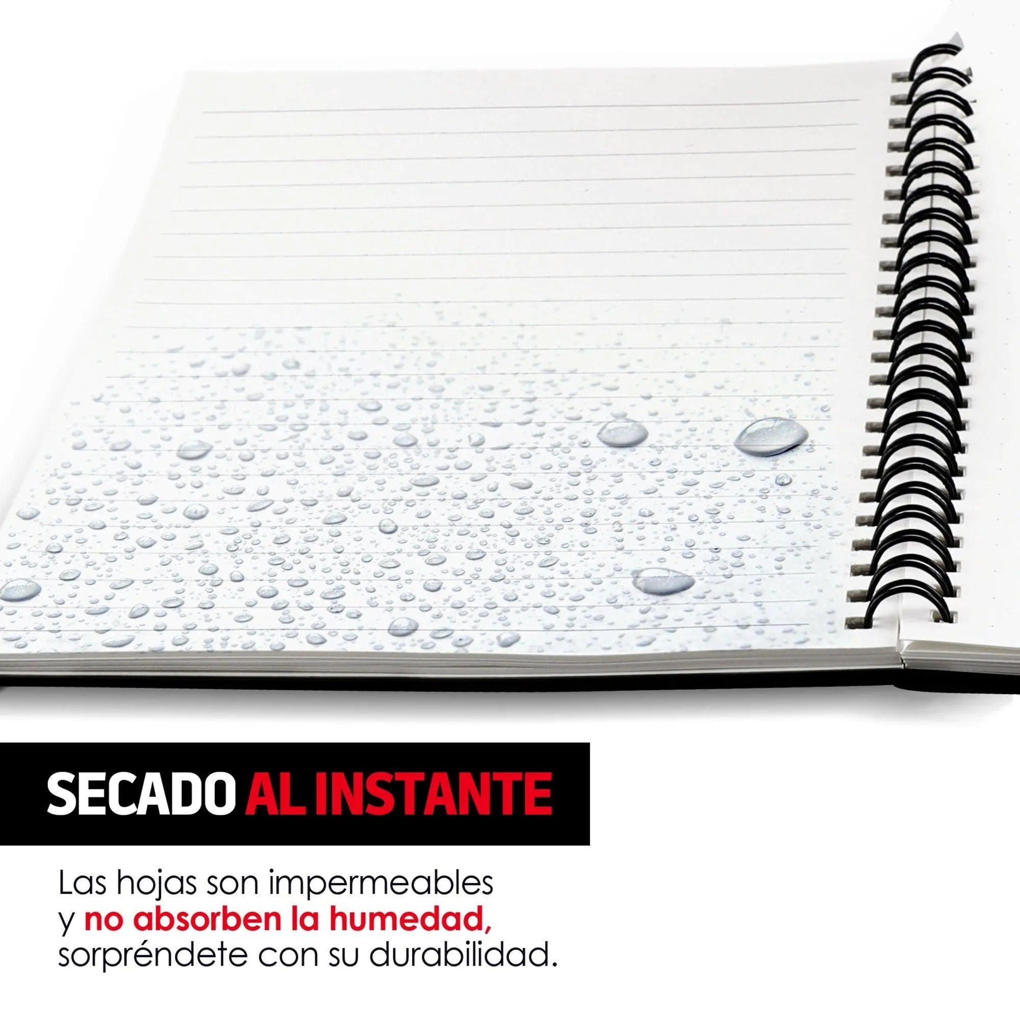 Libreta Reutilizable de 50 Hojas con 3 Plumas Borrables