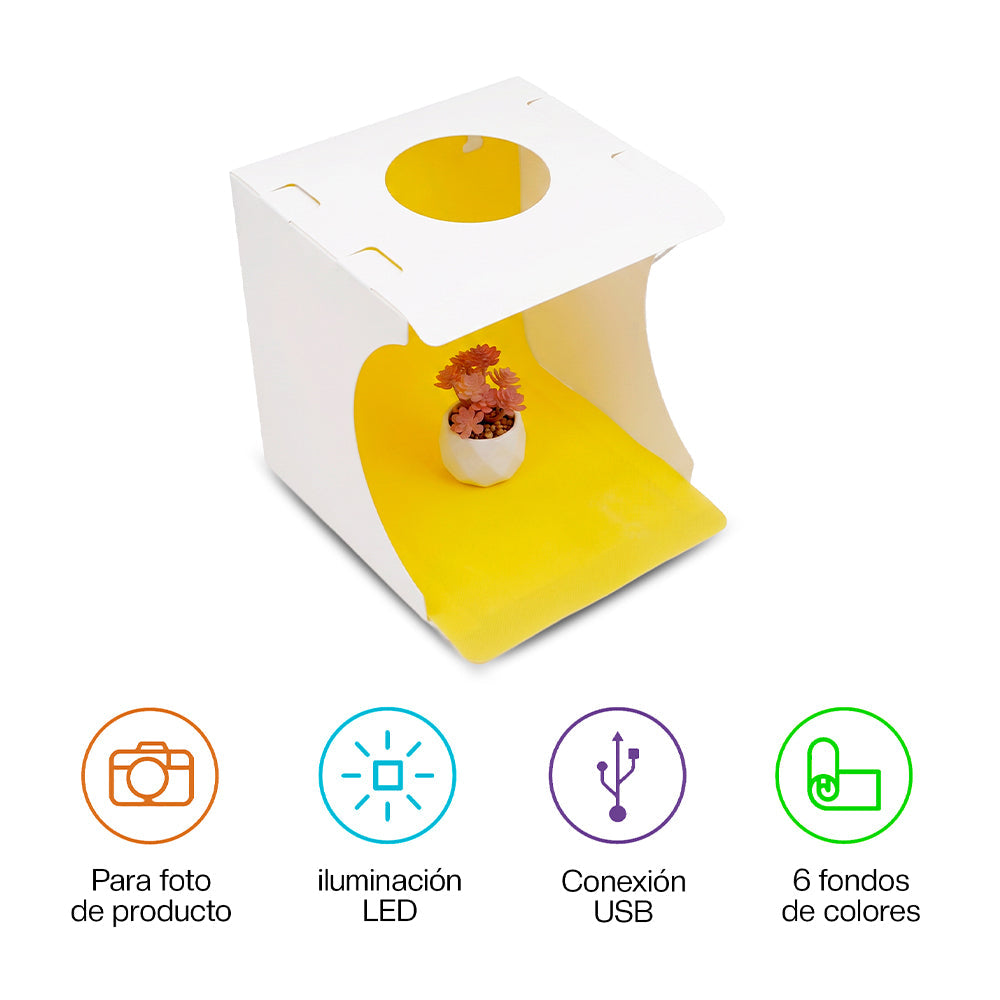 Caja de luz portátil 24 cm con LED y 6 fondos